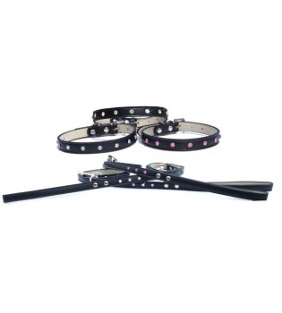 Set collare + guinzaglio metallizato brillanti cane S250